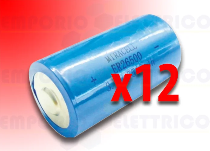 bft confezione 12 batterie per fotocosta dcw bat n999465 2600425