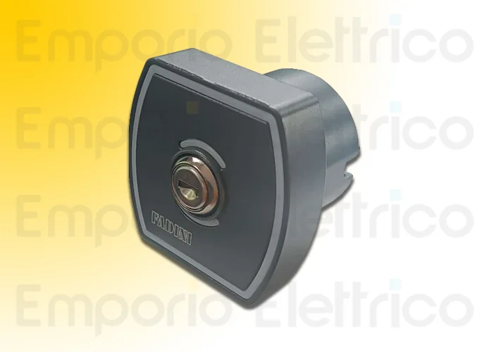 fadini selettore a chiave da incasso, con cilindro standard zero.K 143l