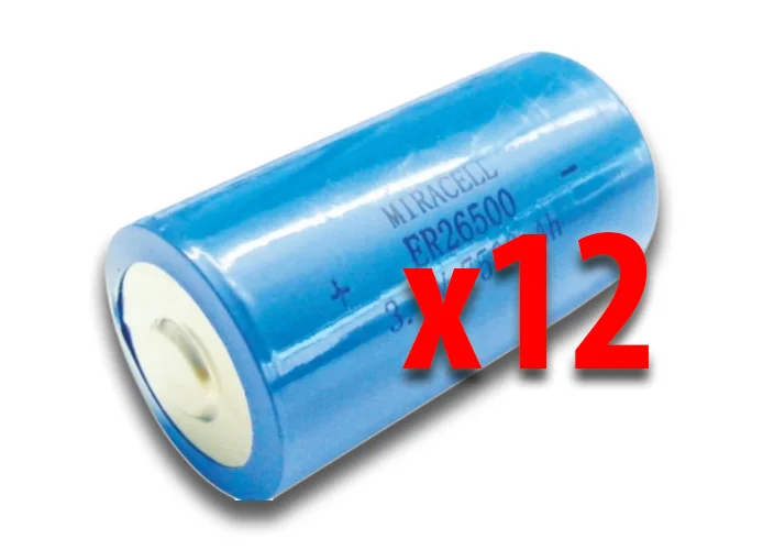 bft confezione 12 batterie per fotocosta dcw bat n999465 2600425